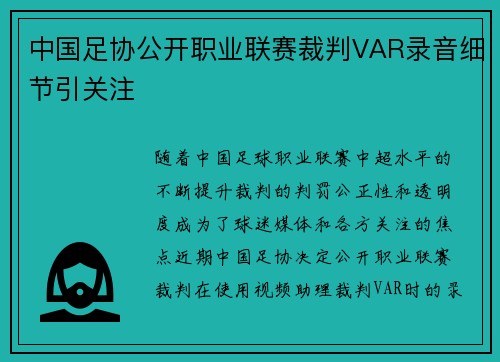 中国足协公开职业联赛裁判VAR录音细节引关注 中国足协公开职业联赛裁判VAR录音细节引关注